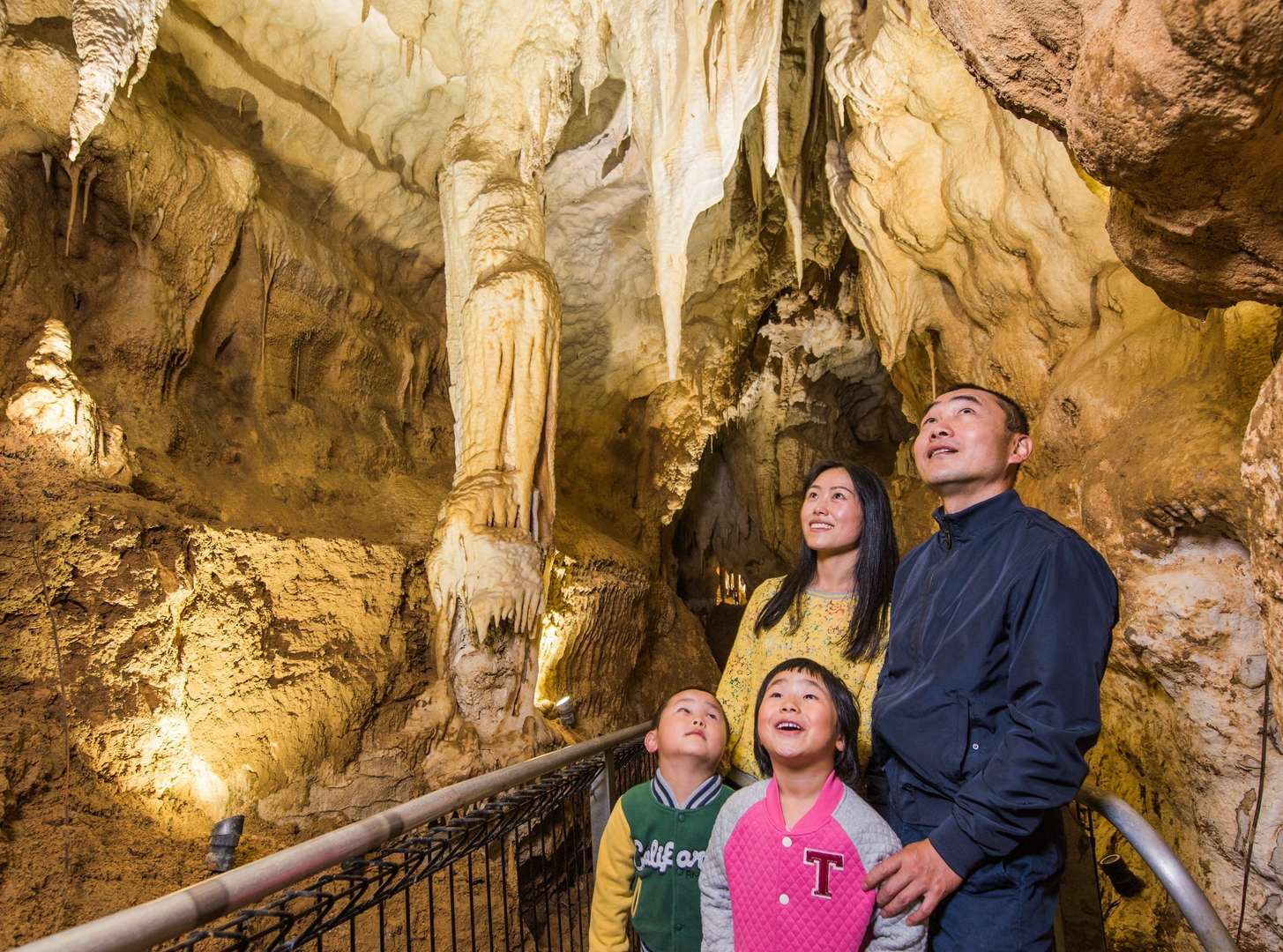 Auckland Day Trip to Waitomo Caves perfect for all ages